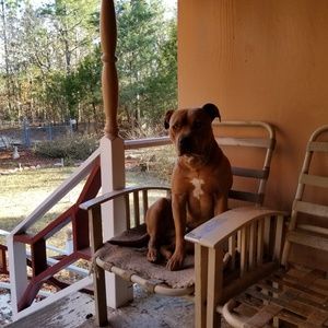 Meet your Posher, Maxine